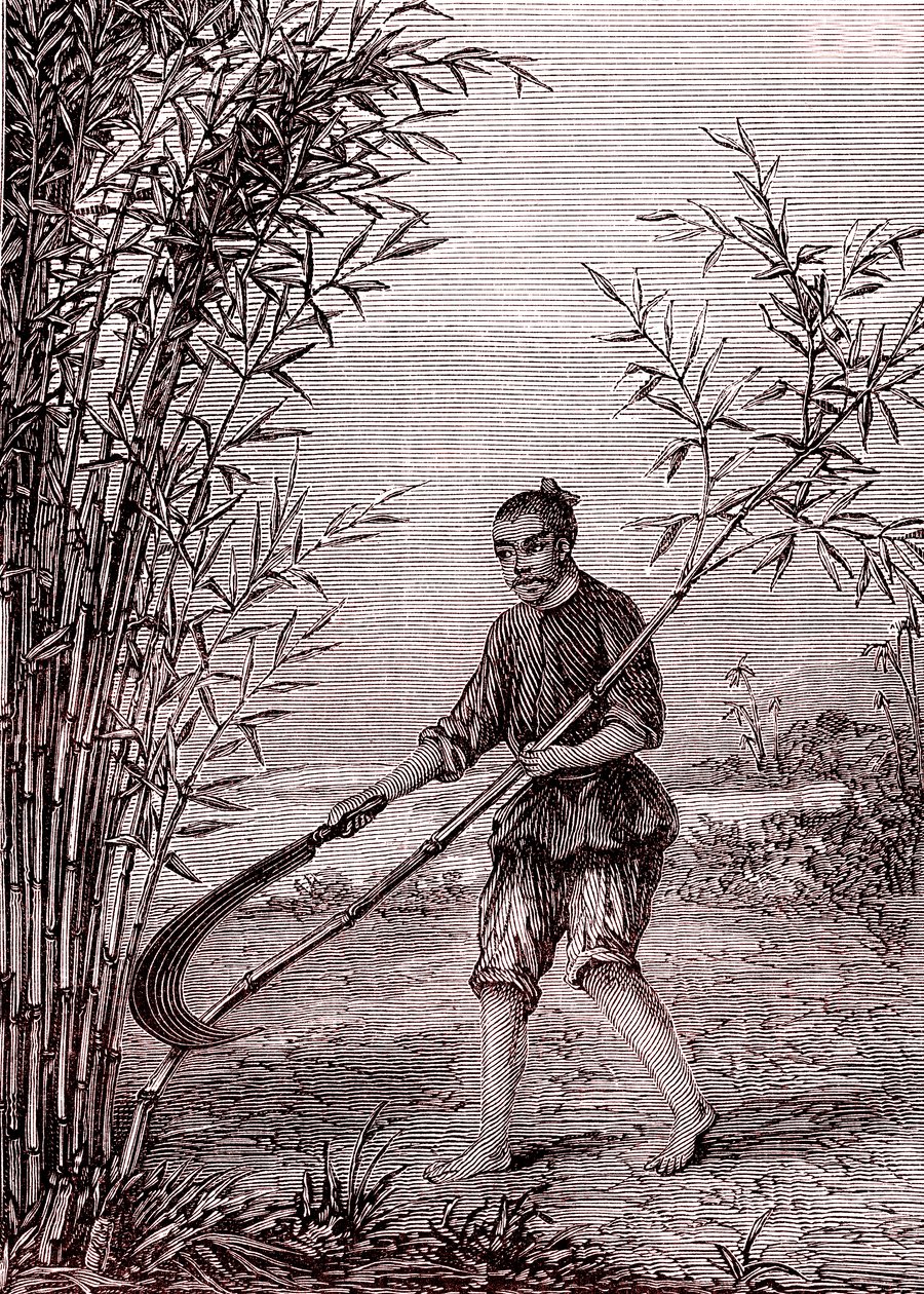 Bambusschneiden, Papierherstellung in China (3. Jahrhundert v. Chr.) (Gravur) von Unknown Artist