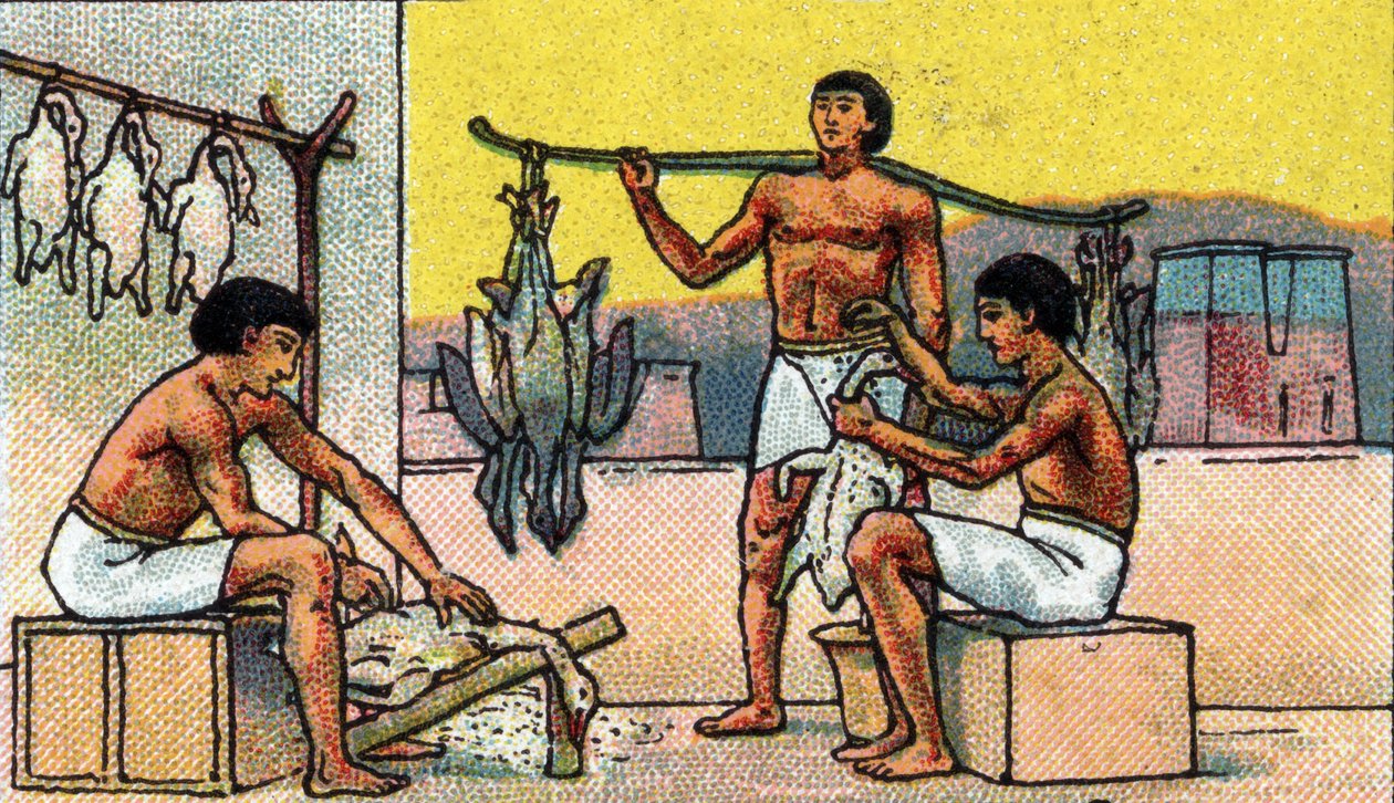 Alltagsleben im alten Ägypten: Zucht und Vorbereitung von Gänsen in Salzlake, Anfang 20. Jahrhundert von Unknown Artist