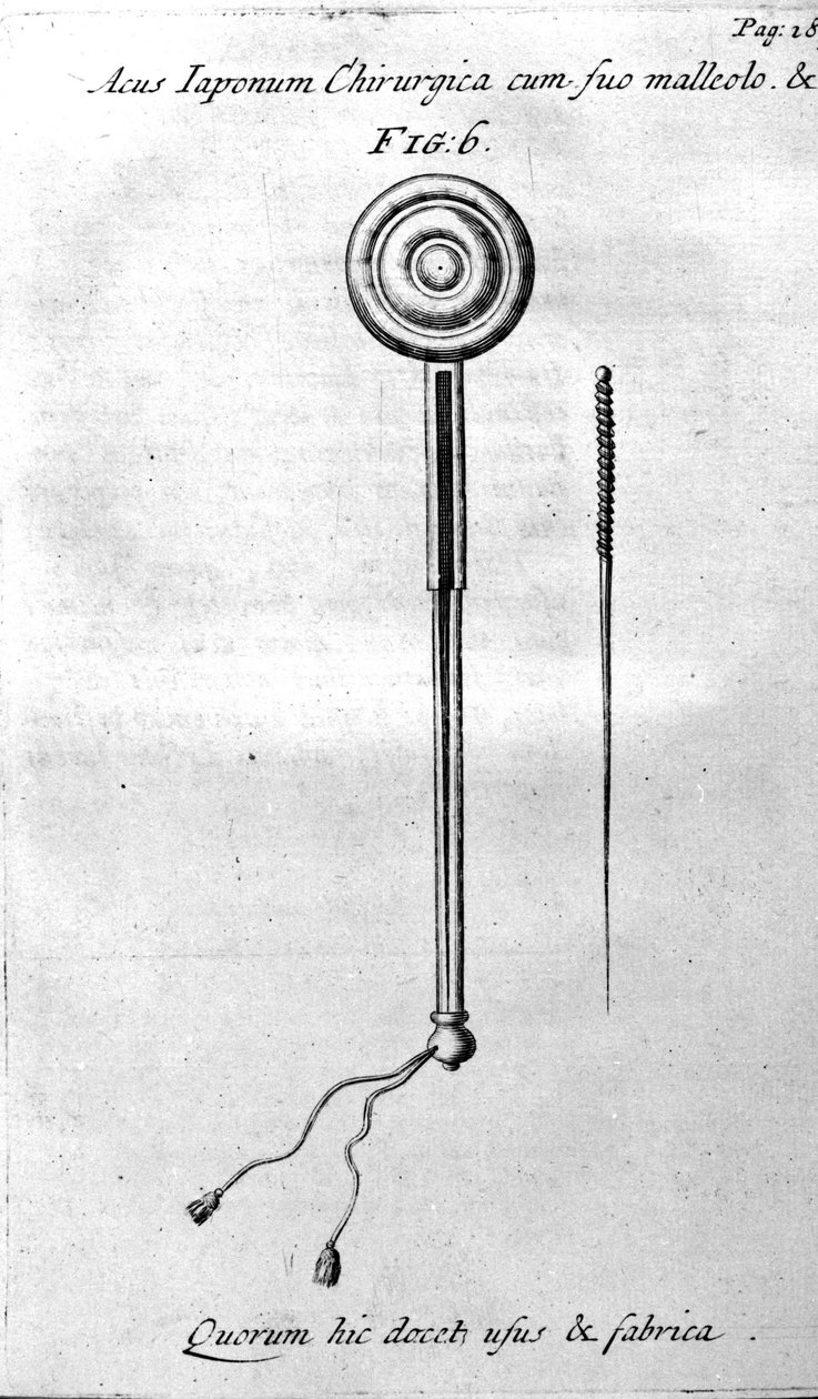 De Acupunctura von W. Ten Rhijne. London 1683. Erster westlicher Text über Akupunktur von Unknown artist