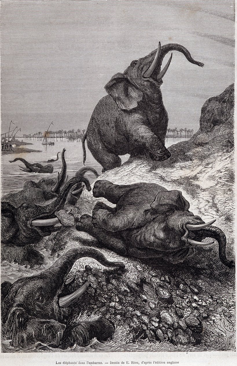 Elefanten erklimmen das Ufer eines Flusses, Bericht einer Expedition nach Zentralafrika im Auftrag von Sir Samuel White Baker, „Tour du monde“ von Unknown artist