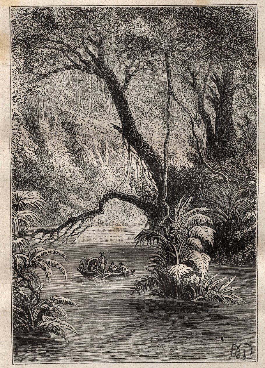 Expedition nach Amerika (1799-1804) von Alexander von Humboldt (1769-1859) und Aime Bonpland (1773-1858): die Entdecker fahren den Orinoco hinunter, umgeben von den gigantischen Bäumen des Amazonaswaldes (Cano Pimichin, Venezuela) - Illustration aus „Die g von Unknown artist