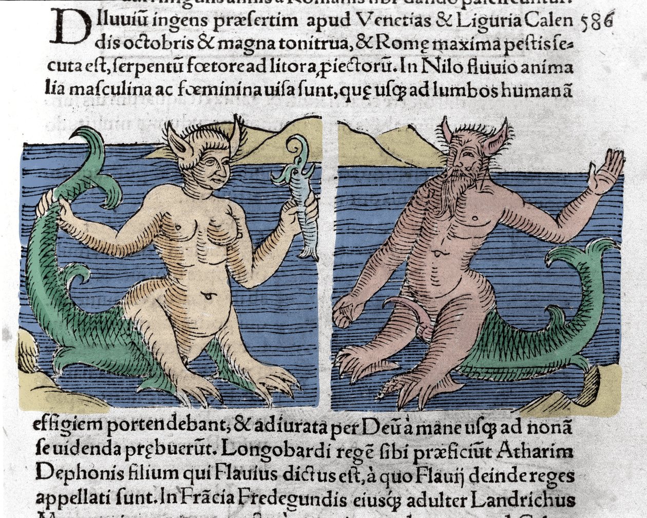 Fantastische Kreaturen: Ein Molch und eine Sirene im Nil gesehen. Gravur aus „Das Buch der Wunder“ (Prodigiorum ac ostentorum Chronicon Basileae) von Wolfhart (Conrad Lycosthenes) 1557 von Unknown artist