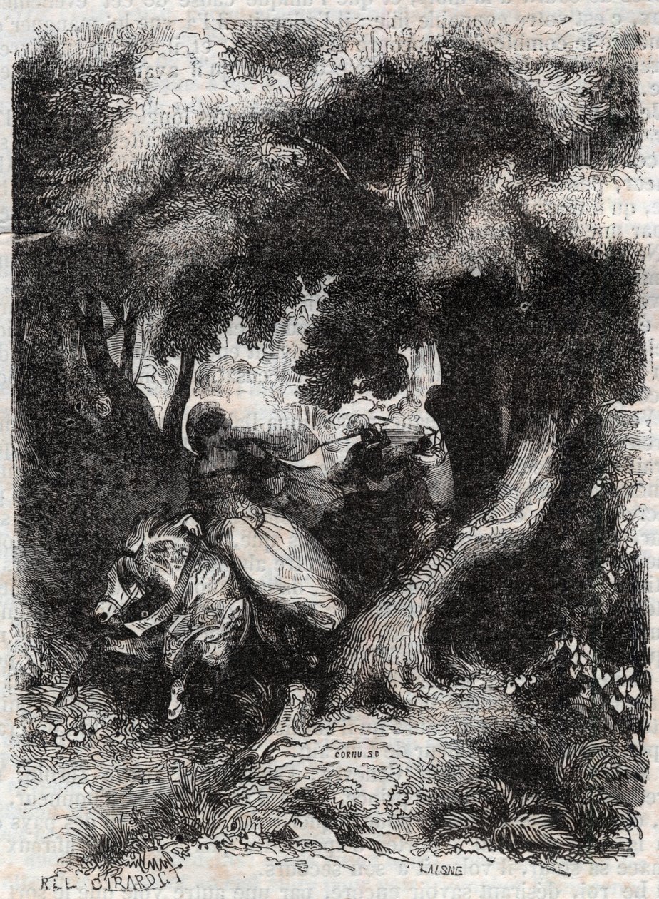 Flucht von Angelica während der Schlacht - Gravur von 1851 aus „Furioser Roland“ (Orlando furioso) (16. Jahrhundert) von Ludovico Ariosto, bekannt als der Ariosta - Ausgabe, übersetzt aus dem Italienischen von Graf von Tressan und veröffentlicht von Gustav von Unknown artist