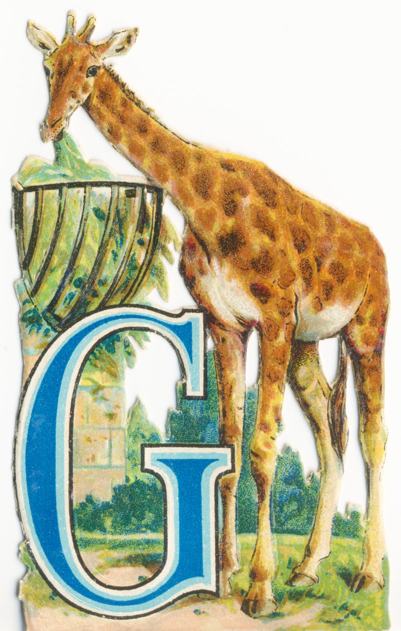 G: Giraffe von Unknown artist