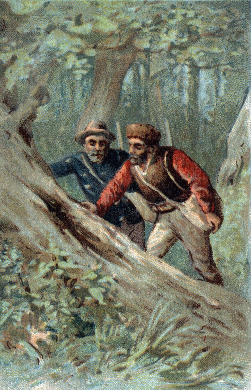 Honigjäger in Kanada auf der Suche nach einem Schwarmbaum. Chromolithographie des späten 19. Jahrhunderts. von Unknown artist
