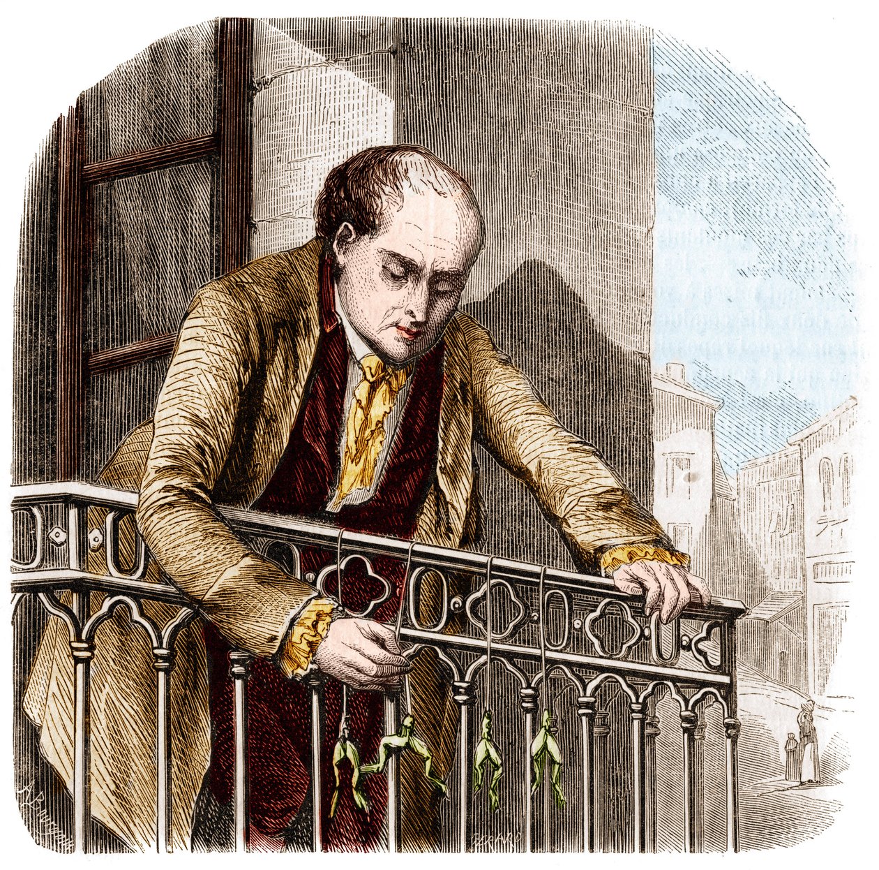 Illustration von Experimenten von Luigi Galvani, italienischer Physiker und Arzt (1737 - 1798) mit Fröschen von Unknown artist