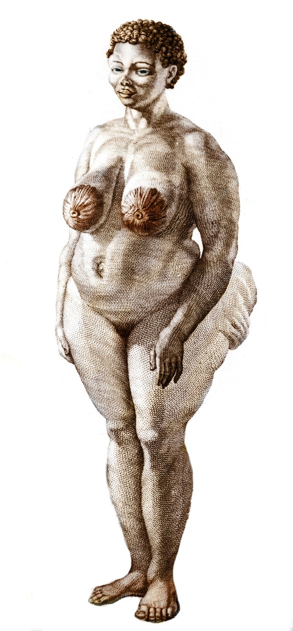 Die Hottentotten-Venus, Frau der Bochiman-Rasse. Gravur von 1815. von Unknown artist