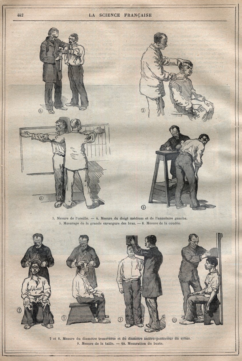 Die gerichtliche Anthropometrie oder Bertillonage, Methode von Alphonse Bertillon (1853-1914) - Gravur in „La Science française“ von Unknown artist