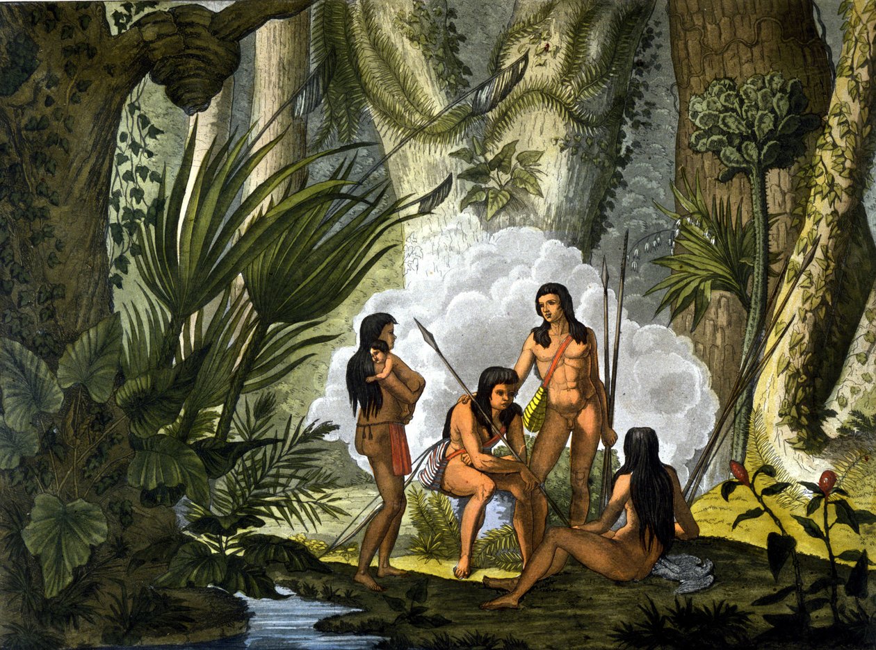 Les camacans, Indianer aus Brasilien - in „Le costume ancien et moderne“ von Ferrario, ed. Mailand von Unknown artist