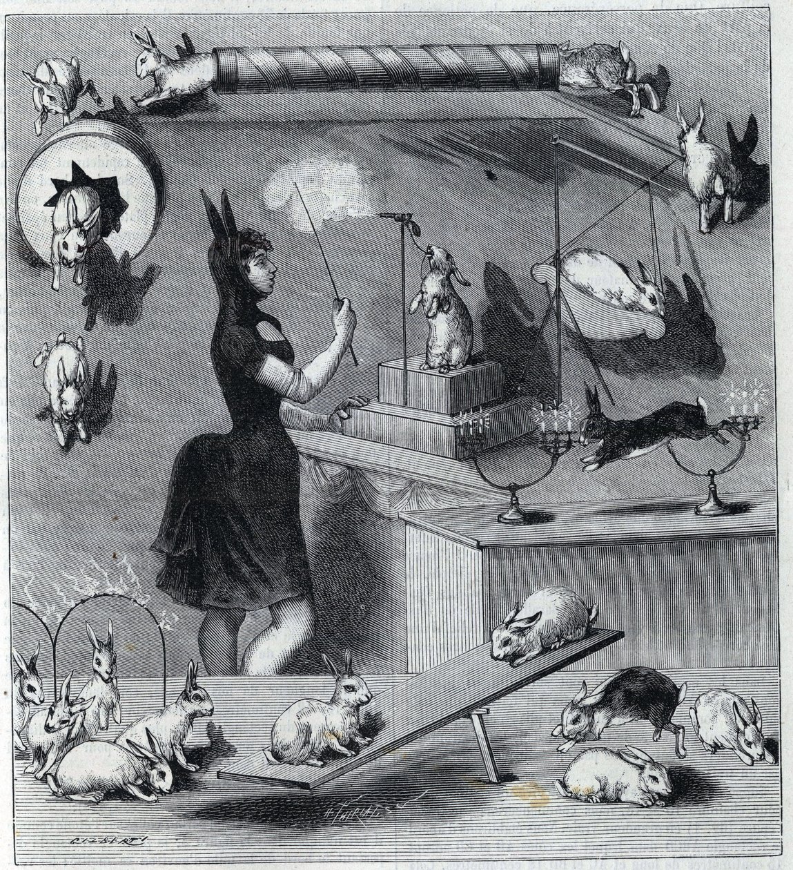 Die verkleideten Kaninchen des Neuen Zirkus in Paris: Dompteur im Kaninchenkostüm lehrt dem Tier die verschiedenen Nummern. In „La Nature“ 1890 von Unknown artist