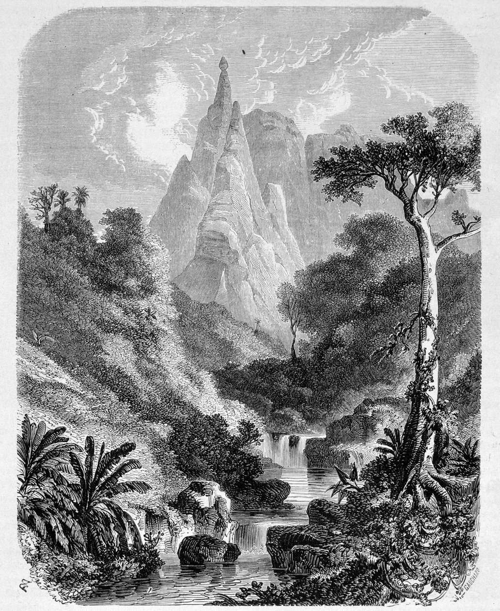 Mauritius: die Peter-Booth - in „Le Tour du Monde“, 2. Woche 1861 von Unknown artist