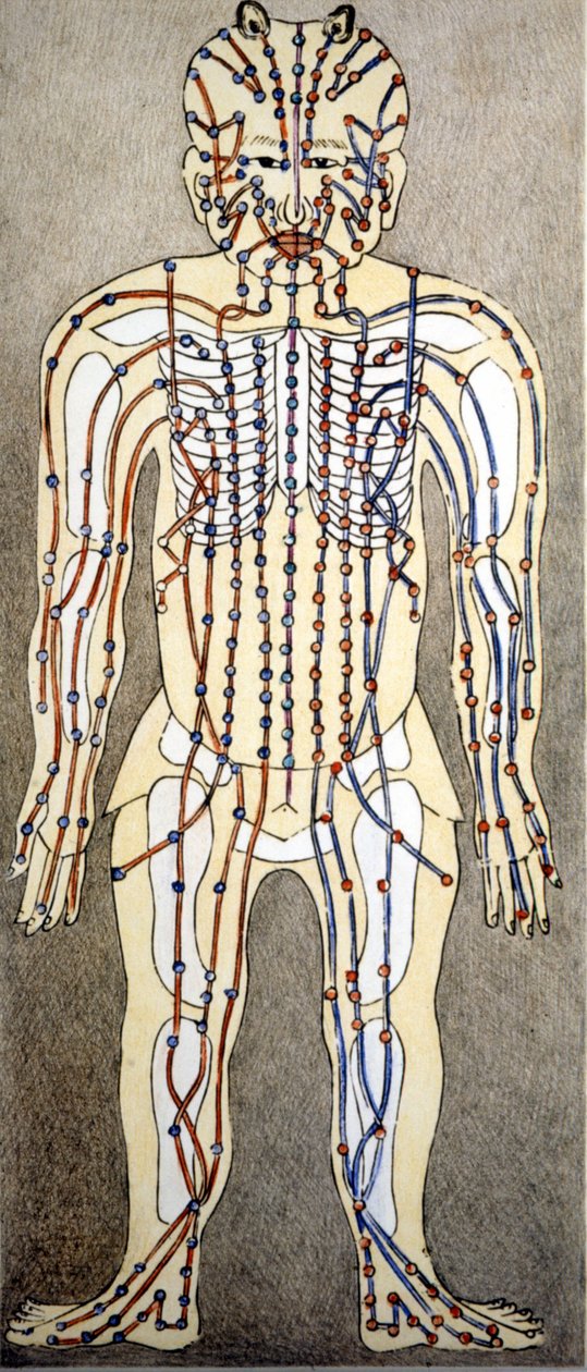 Medizin. Diagramm des menschlichen Körpers aus einem Akupunkturtraktat. Privatbibliothek, Mailand von Unknown artist