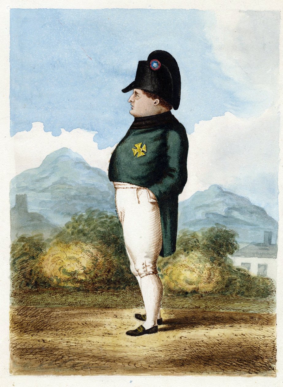 Napoleon Bonaparte auf der Insel St. Helena von Unknown artist