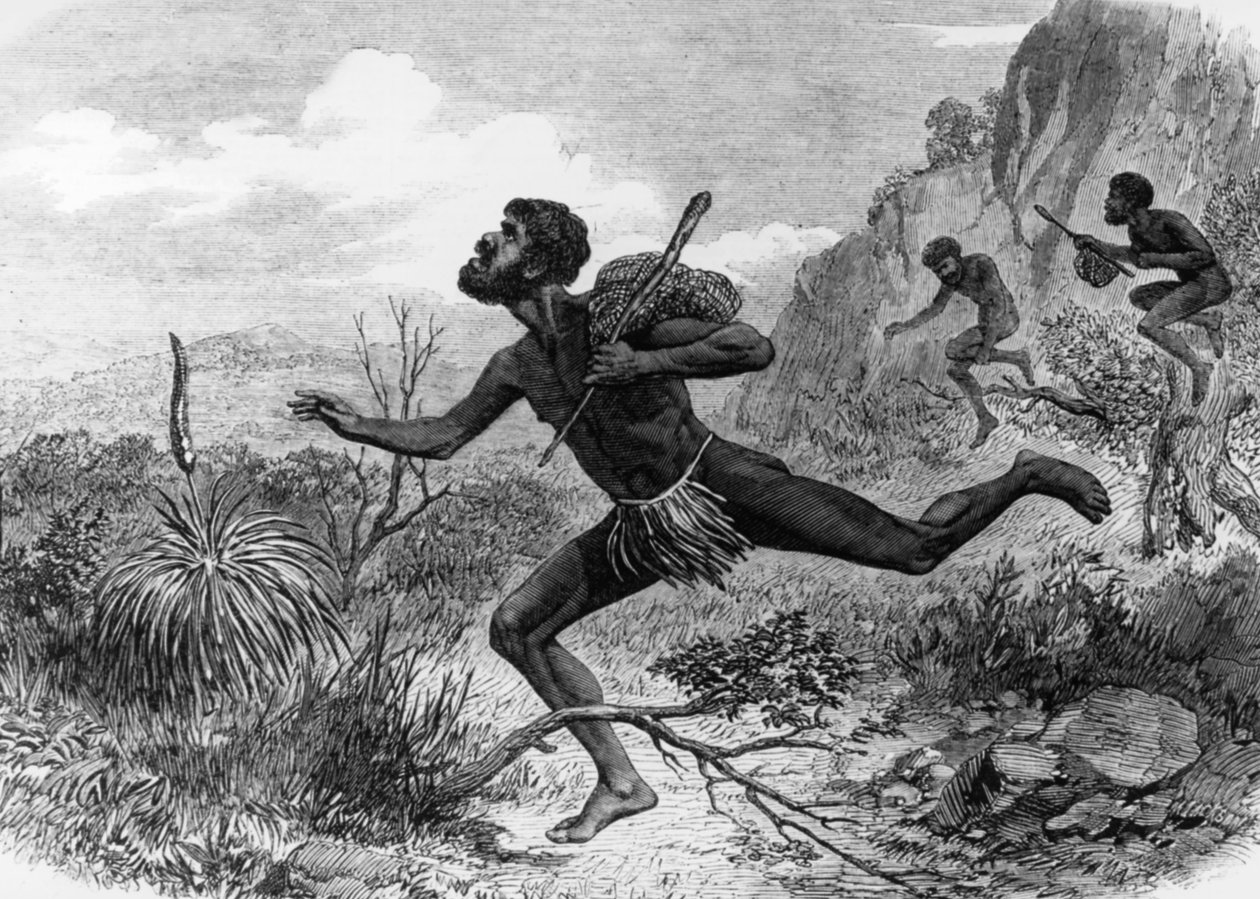 Ureinwohner (Aborigines) aus Australien bei der Bienensuche 1863, Gravur von Unknown artist