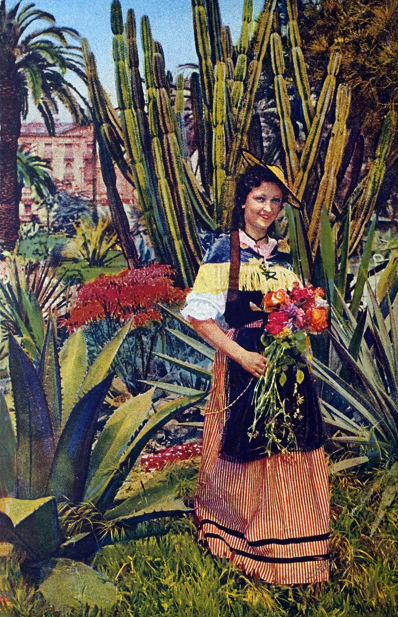 Nicoise. Postkarte um 1930. Stadtarchiv von Nizza. von Unknown Artist