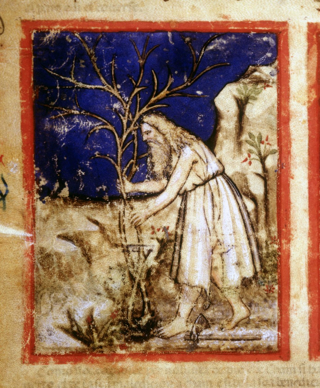 Seite eines Bibelmanuskripts. Noahs Pflanzenleben. Miniatur aus Codex 212 (oder Padua-Bibel) 1390-1400 Rovigo, Accademia dei Concordi von Unknown artist