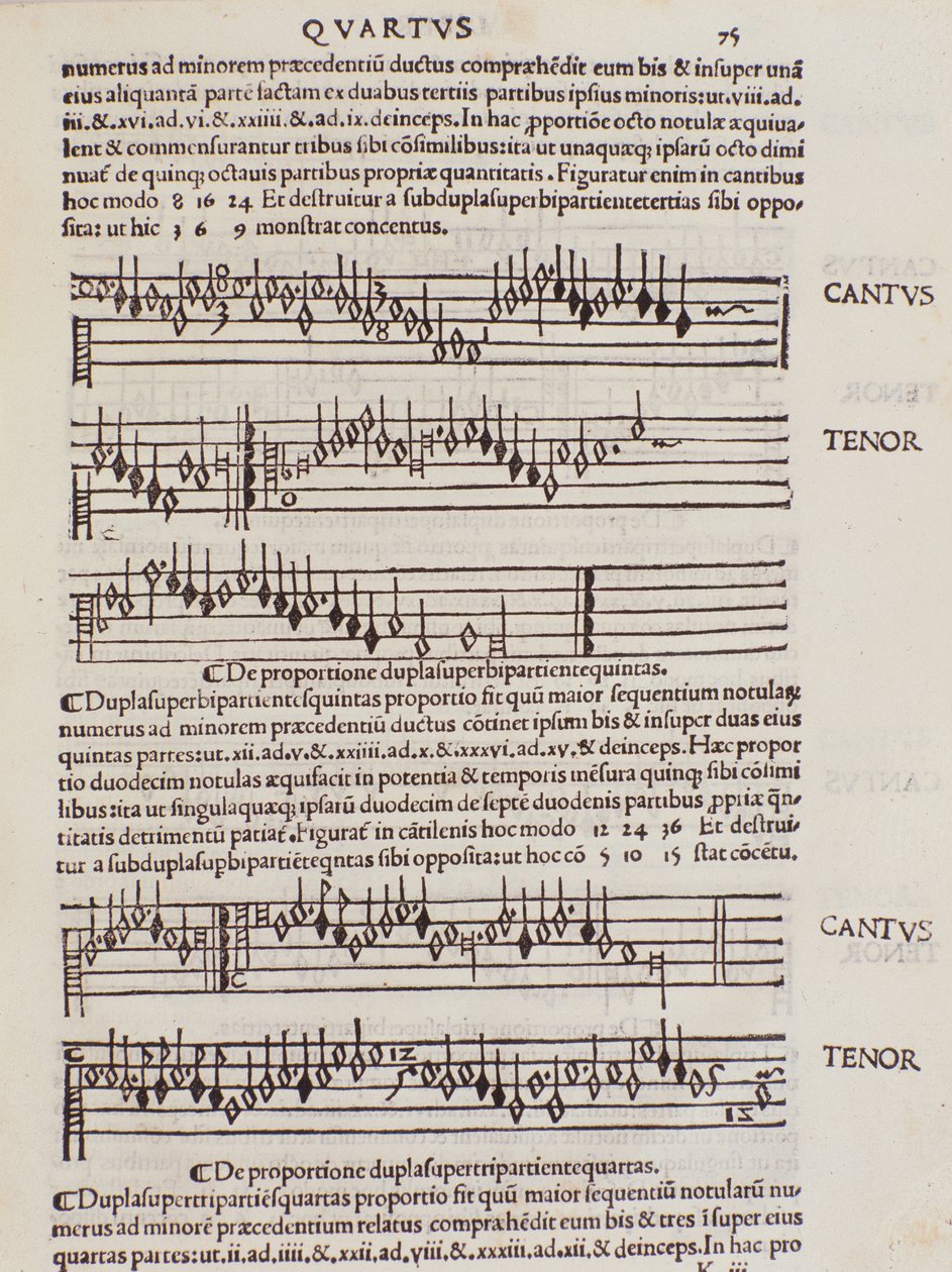 Seite aus Franchino Gaffurios Practica Musicae von Unknown artist
