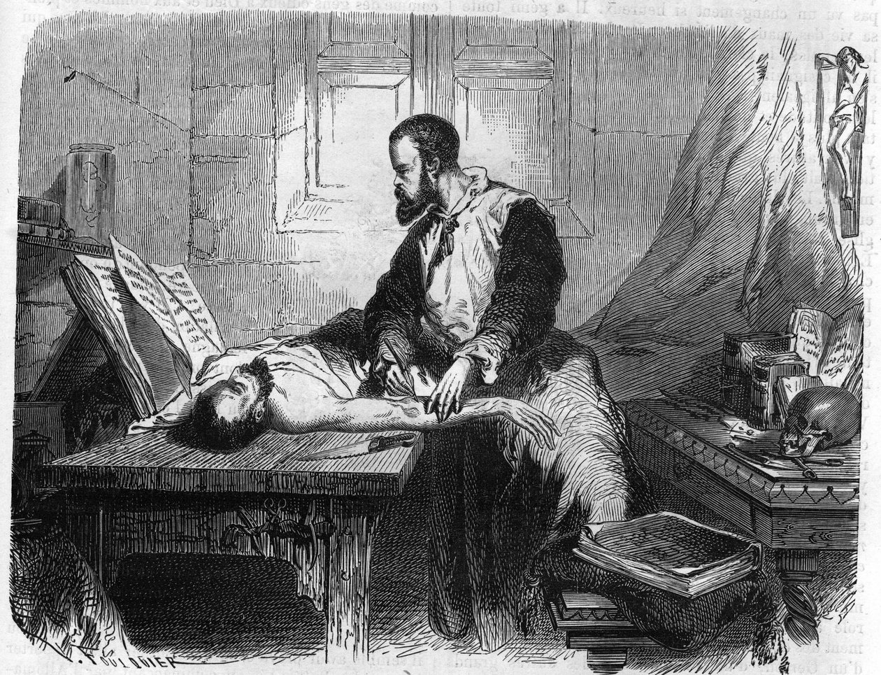 Porträt von André Vésale (1514-1564), niederländischer Anatom (Latein: Andrea Vesalius, Niederländisch: Andries Van Wesel). Gravur von 1866 von Unknown artist