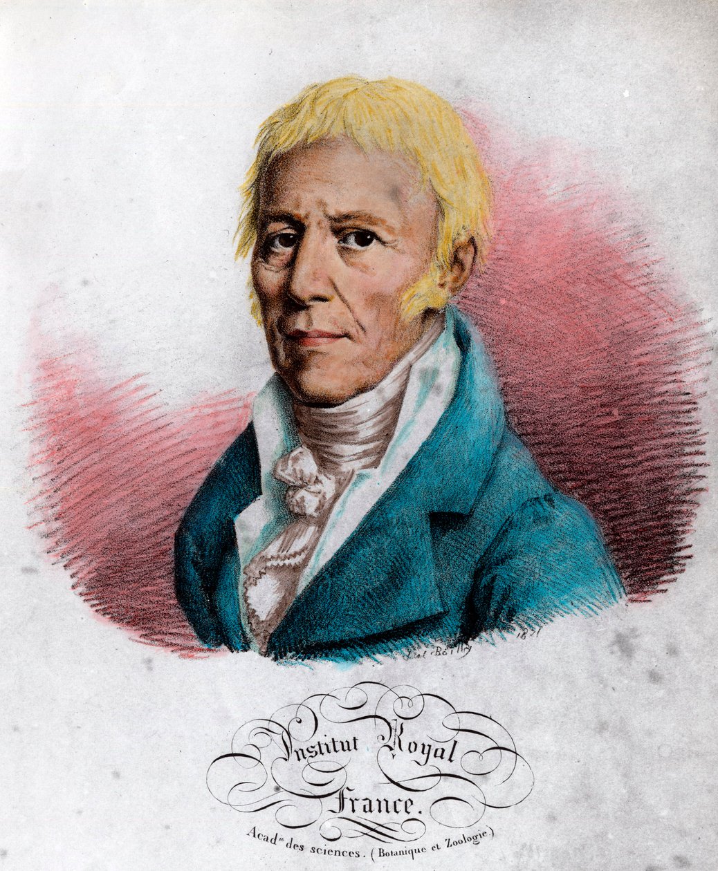 Porträt von Jean Baptiste Lamarck (1744-1829), französischer Naturforscher. Gravur des 19. Jahrhunderts. Private Sammlung. von Unknown artist