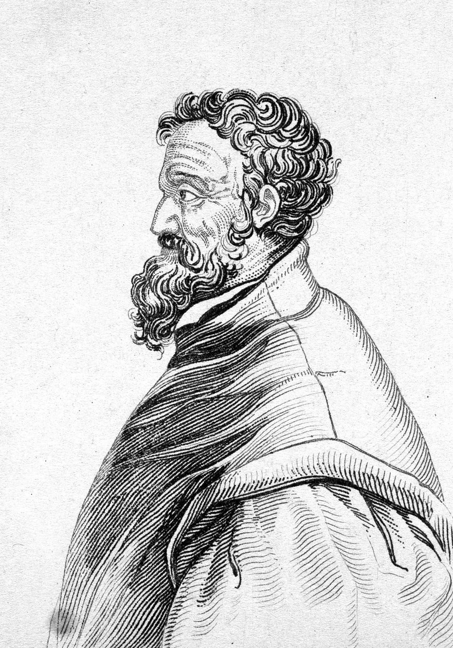 Porträt von Michelangelo Buonarroti, genannt Michelangelo von Unknown artist