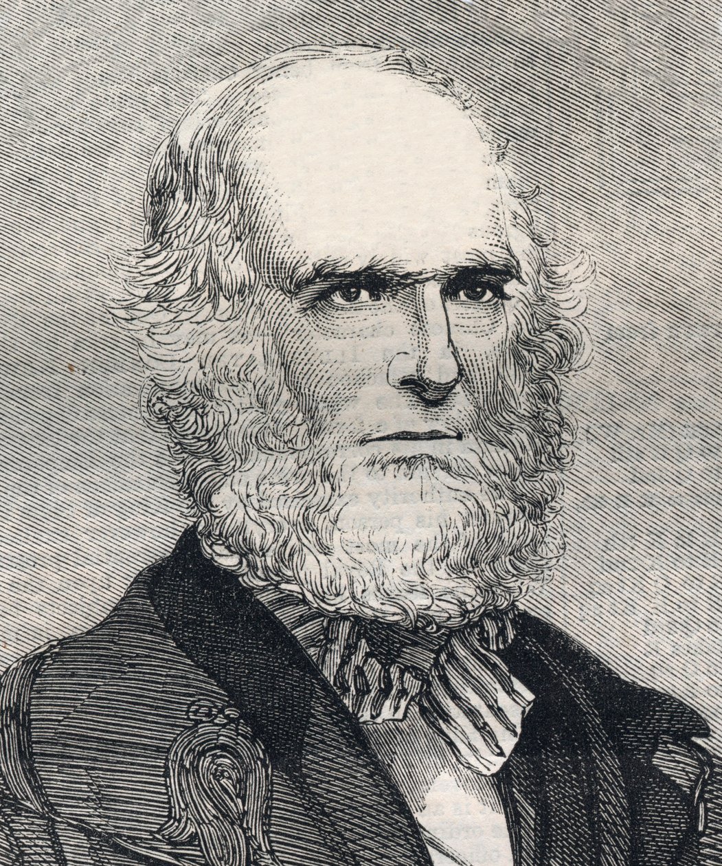 Porträt von William Cullen Bryant (1794-1878), amerikanischer Dichter. Gravur in „The Illustrated London News“ vom 23. Januar 1858. von Unknown artist