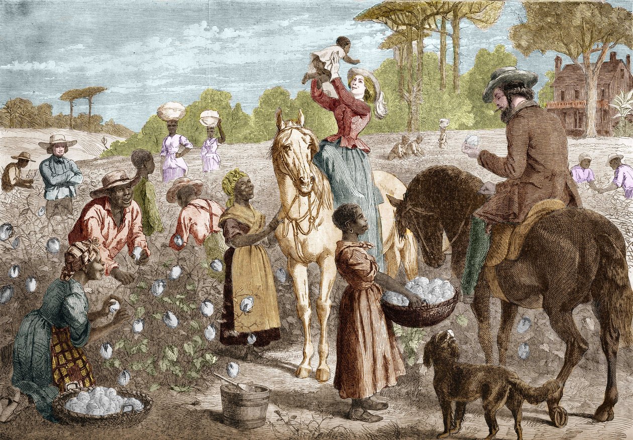 Recycelte Baumwolle aus einem Haus im Süden der Vereinigten Staaten im Jahr 1864. von Unknown artist