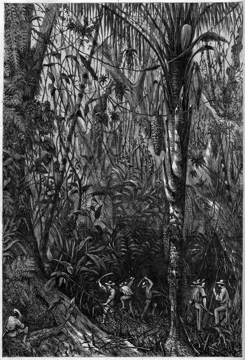 Straßenbau in Mittelamerika: Das Bohren der nicaraguanischen Straße durch einen Urwald. Zeichnung von Leutnant Olivier, Mitglied der Expedition von Kapitän Bedford Pim von Unknown artist