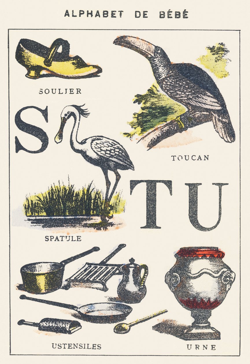 S T U: Schuh, Spatel, Tukan, Utensilien, Urne von Unknown artist