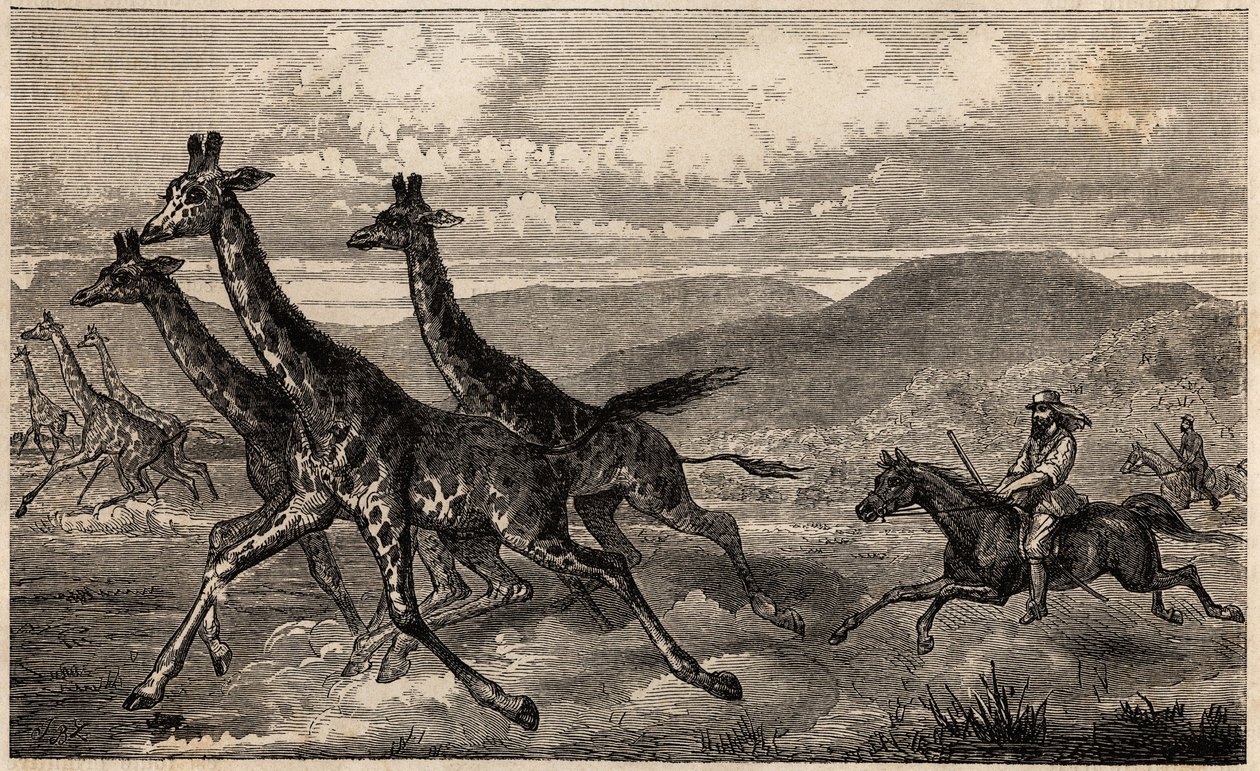 Samuel W. Baker jagt Giraffen in Zentralafrika in der Region des oberen Nils von Unknown artist