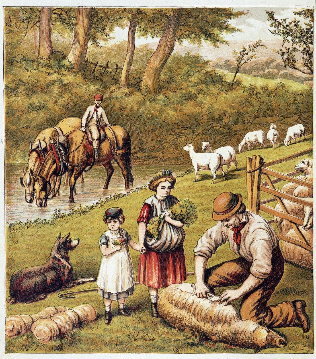 Schafe beim Mähen von Unknown artist