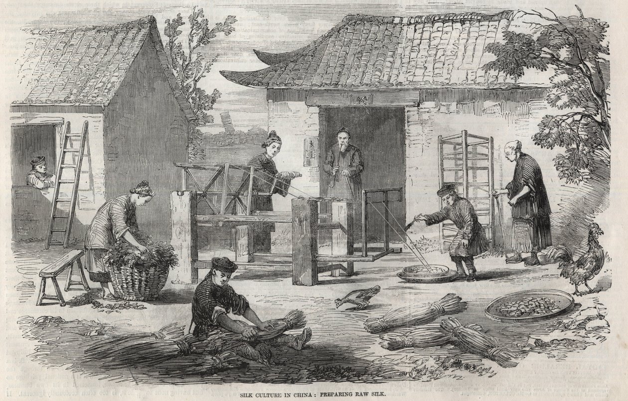 Seidenproduktion in China und die verschiedenen Herstellungsstufen. von Unknown artist