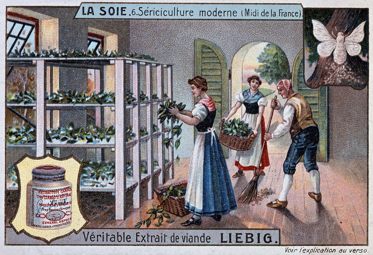 Seide: Seidenwerkstatt im Süden Frankreichs, Liebig-Werbung, ca. 1895 von Unknown artist