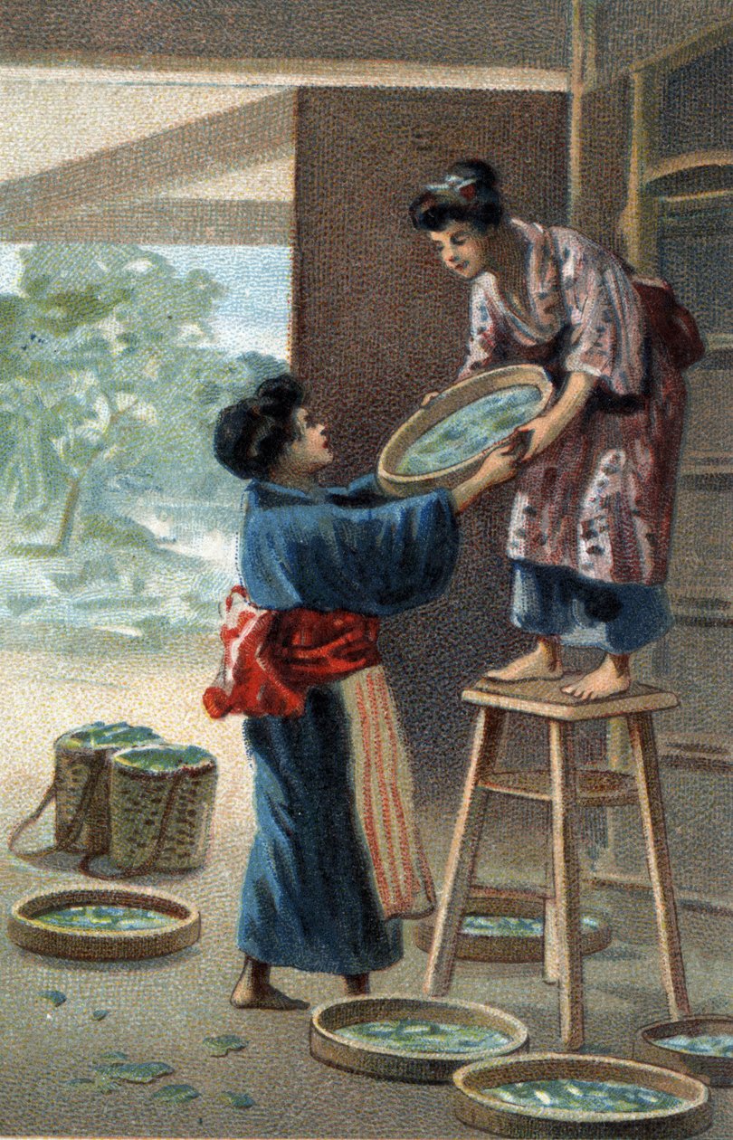 Seidenraupenzucht in einem japanischen Magneten. Chromolithographie des späten 19. Jahrhunderts. von Unknown artist