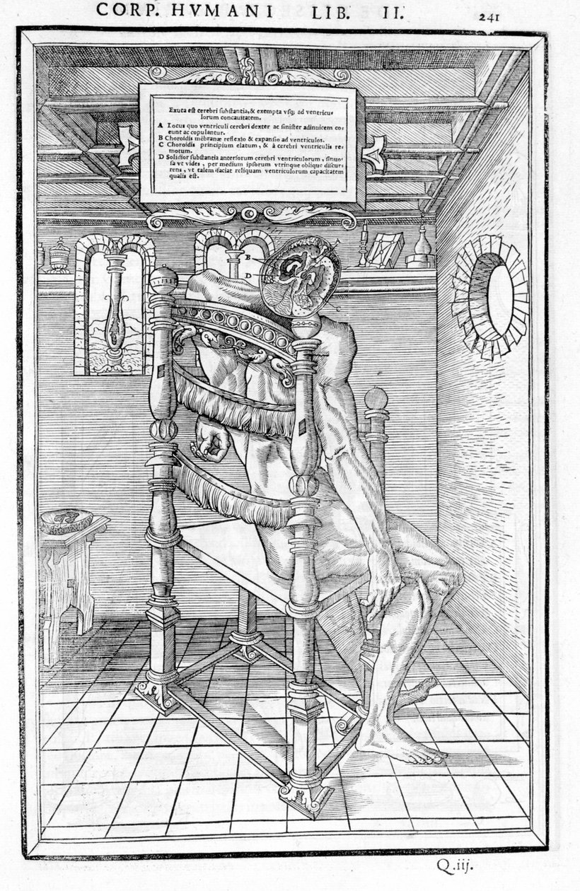 Schädelanschnitt. Anatomische Tafel aus „De dissectione partium corporis humani libri tres...“ von Carlo Stefano Riverio, Paris 1545 von Unknown artist