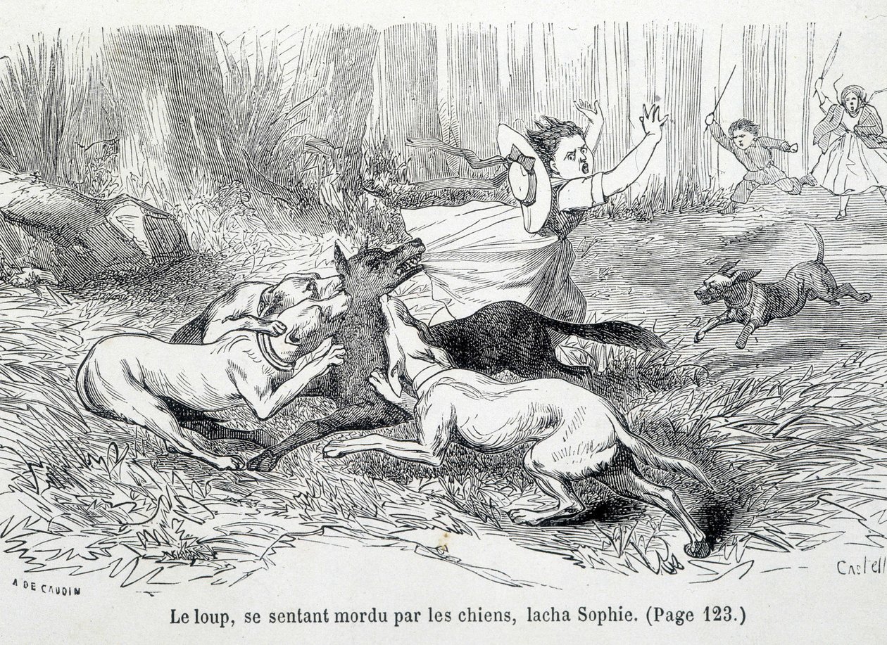 Sophie und der Wolf - in „Die Leiden der Sophie“ von der Gräfin von Ségur, Hachette von Unknown artist