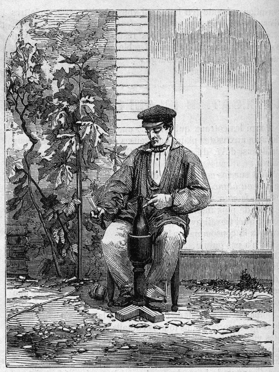Die Abfüllung von Champagnerwein. Gravur von 1864 von Unknown artist