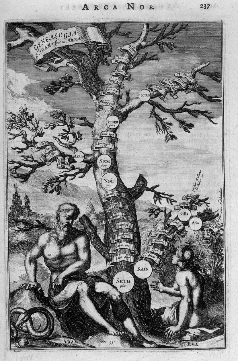 Der Stammbaum von Adam bis Abraham - Bibel von Unknown artist