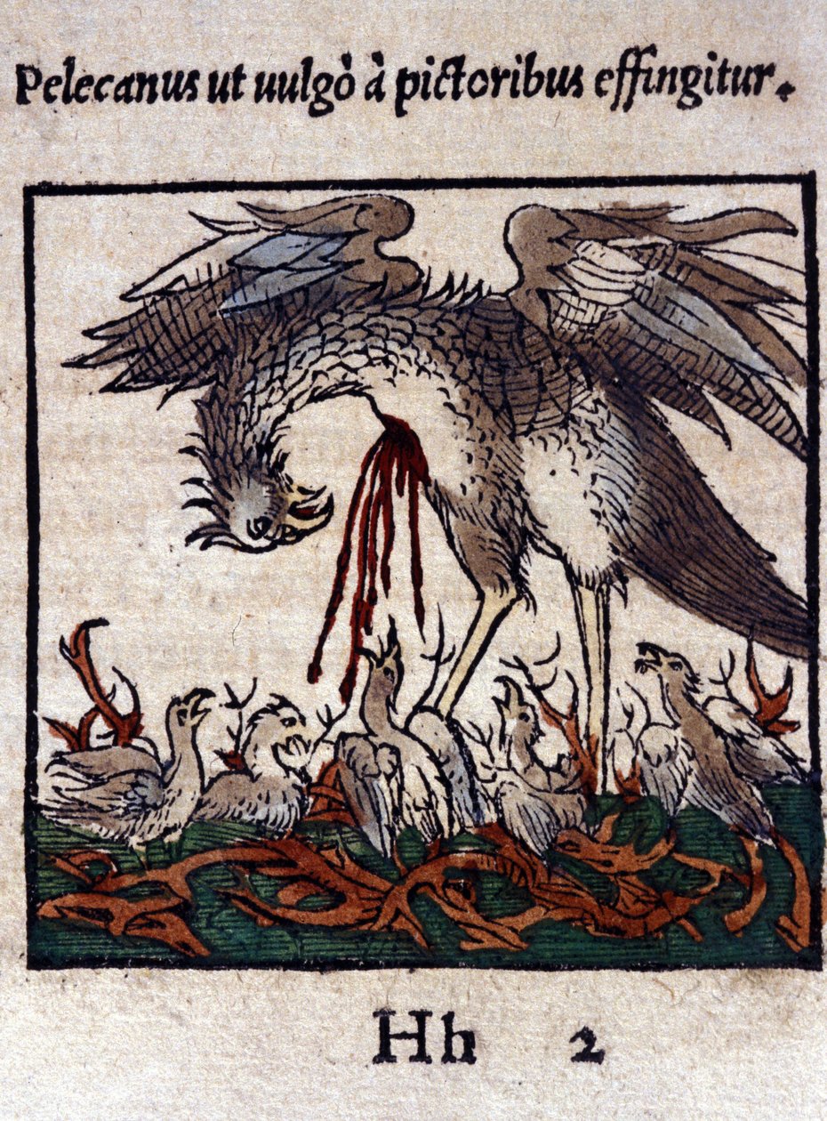 Die Legende des Pelikans: Er gibt sein Blut und seine Eingeweide, um seine Jungen zu füttern. Aus Historiae animalium von Konrad Gesner, Tiguri von Unknown artist