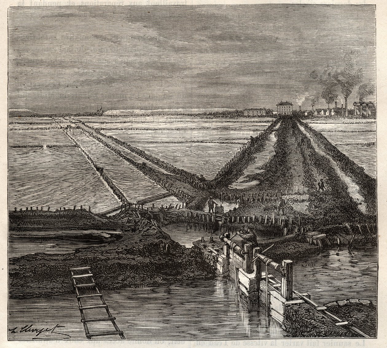 Die Salzwiese von Giraud in der Camargue (Bouches-du-Rhône), Ansicht vom Dienstkanal - Gravur in 