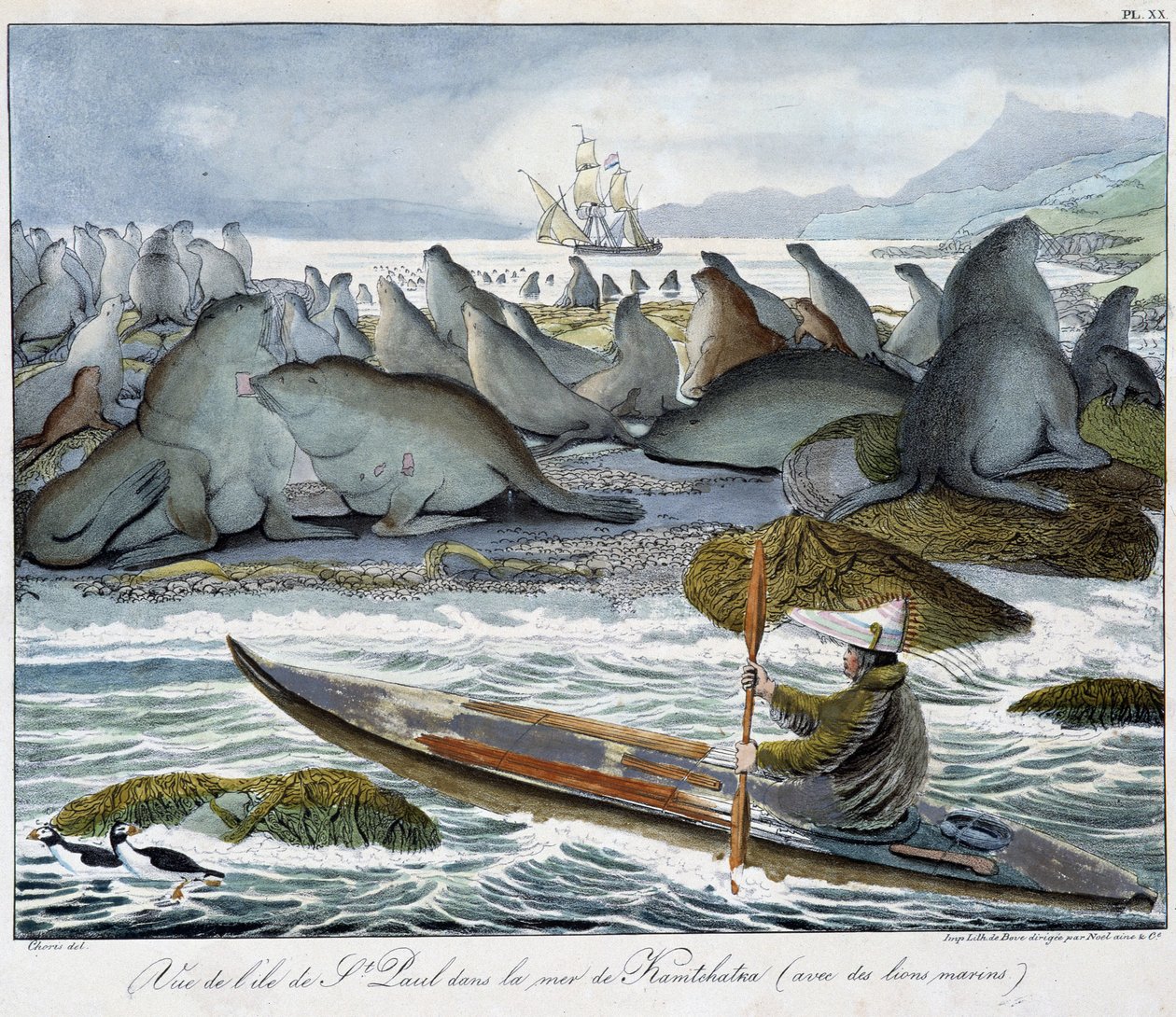 Ansicht der Insel St. Paul im Meer von Kamtschatka mit Seelöwen von Unknown artist