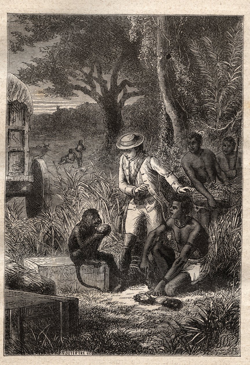 Reise in die Kaffern (Südafrika) (1781) von Francois Levaillant (Le Vaillant) (1753-1824): Levaillant und sein Affe Maitre Kees, der die Früchte und Wurzeln probiert, um zu überprüfen, ob sie essbar sind - Illustration aus „Die großen Seefahrer des 18. Jah von Unknown artist