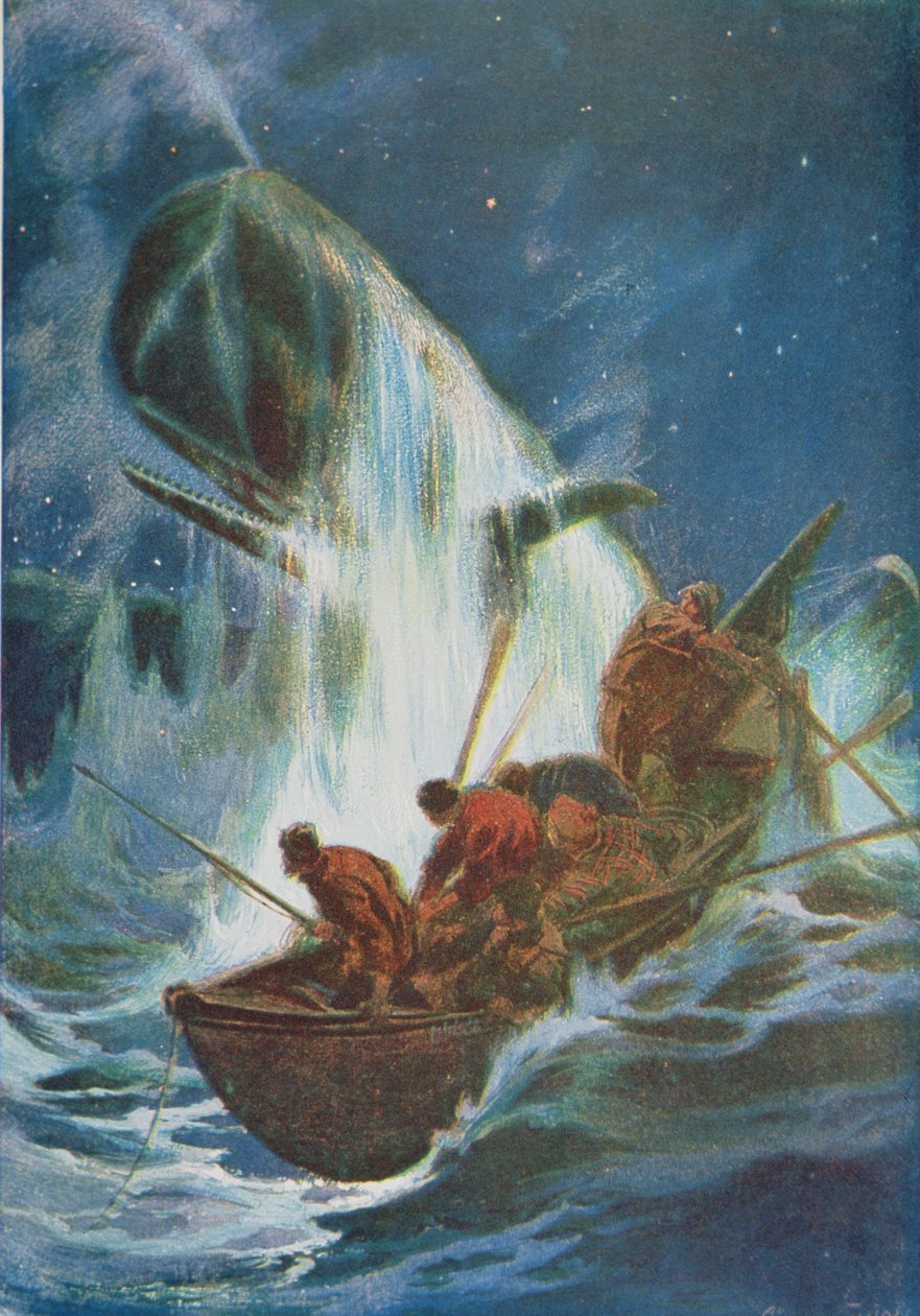 Walfang von Unknown artist