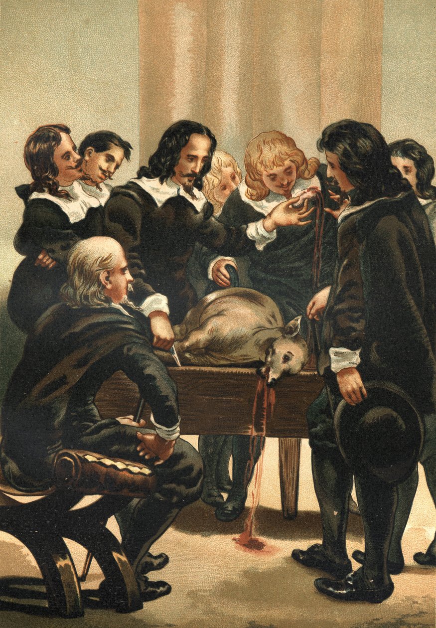 William Harvey (1578-1658), englischer Arzt, der 1628 den Blutkreislauf demonstrierte von Unknown artist