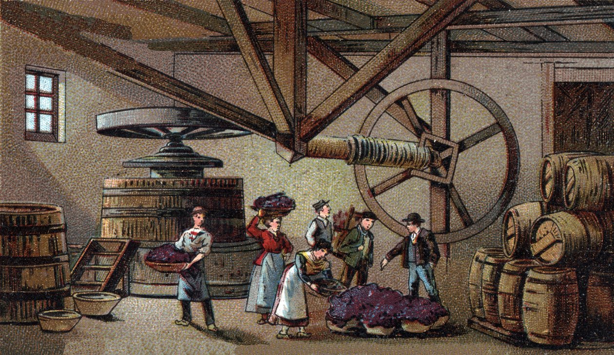 Weinproduktion: Weinpresse des Hospizes von Beaune (Clos Vougeot). Chromolithografie des späten 19. Jahrhunderts von Unknown artist