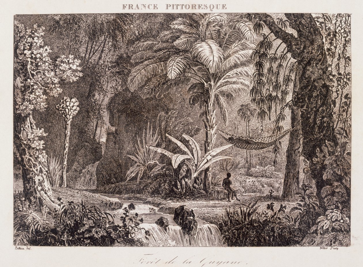 Gravur, die die französische Kolonie Guyana in Südamerika 1850 darstellt von Unknown artist