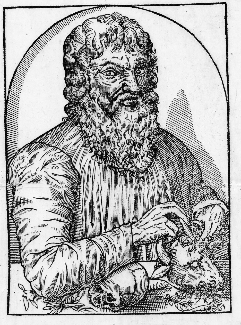 Porträt von Hippokrates (460- ca. 377 v. Chr.), griechischer Arzt von Unknown artist