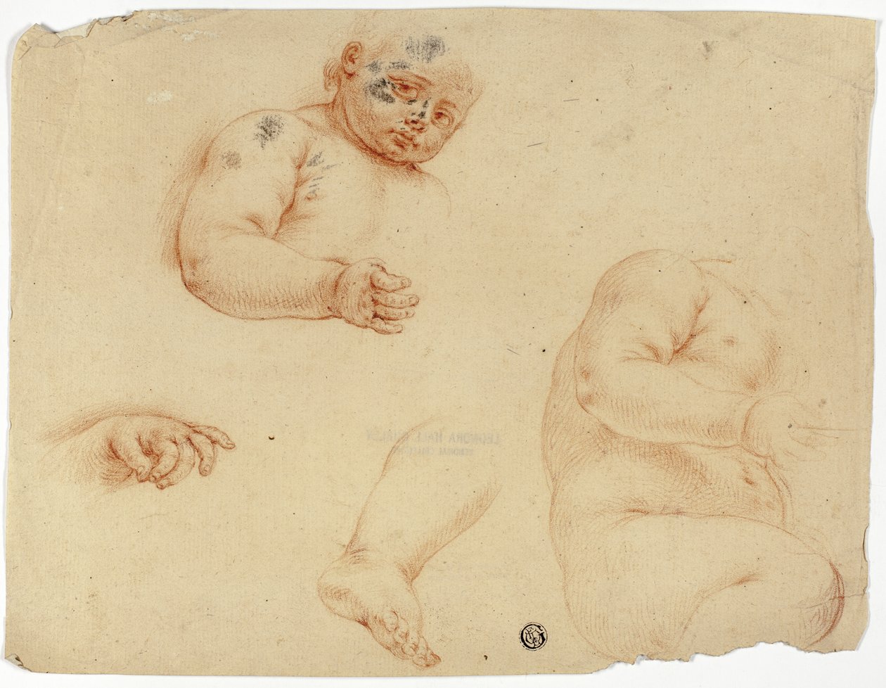 Skizzen eines Kindes: Halbfigur, Torso, Fuß, Hand von Unknown Lombard