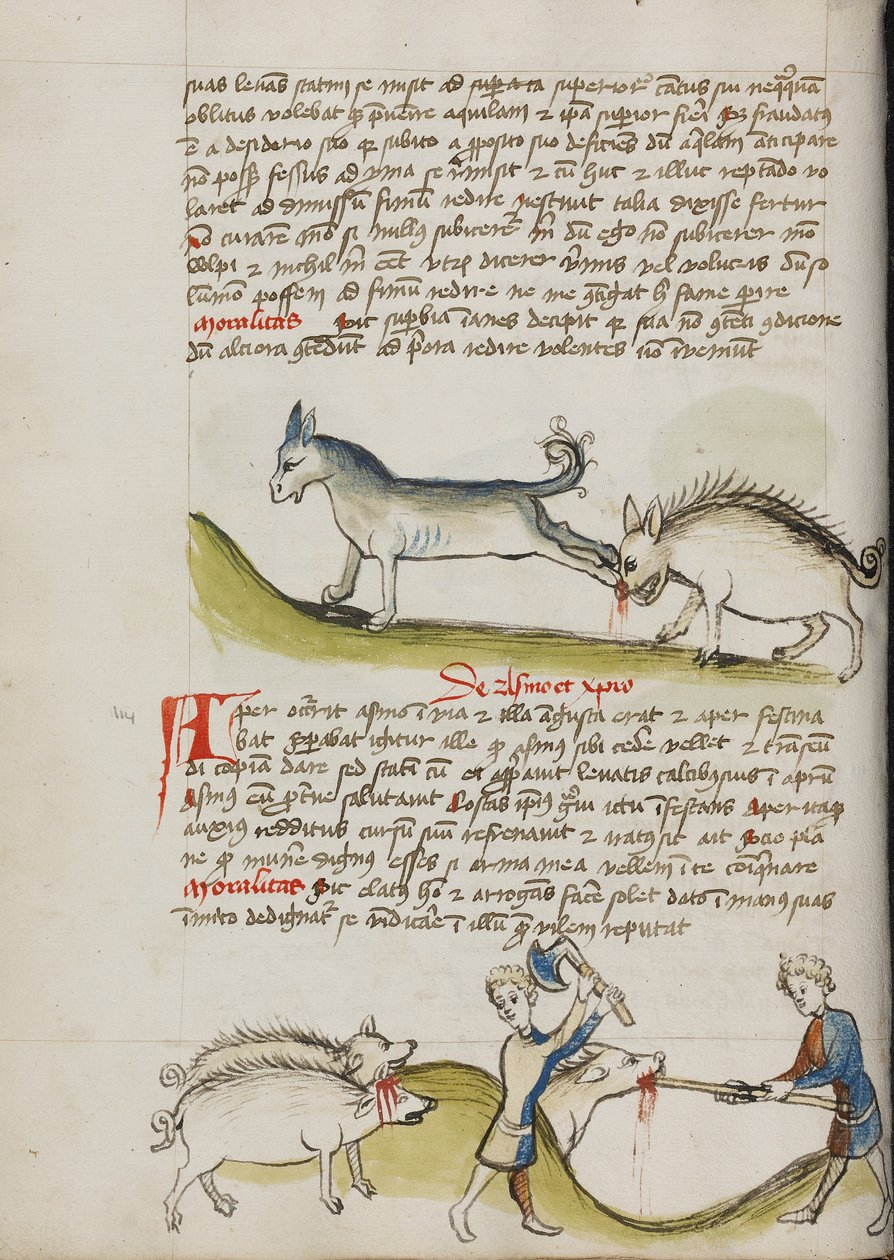 Ein Esel tritt ein Wildschwein; Ein Schwein wird geschlachtet von Unknown artist
