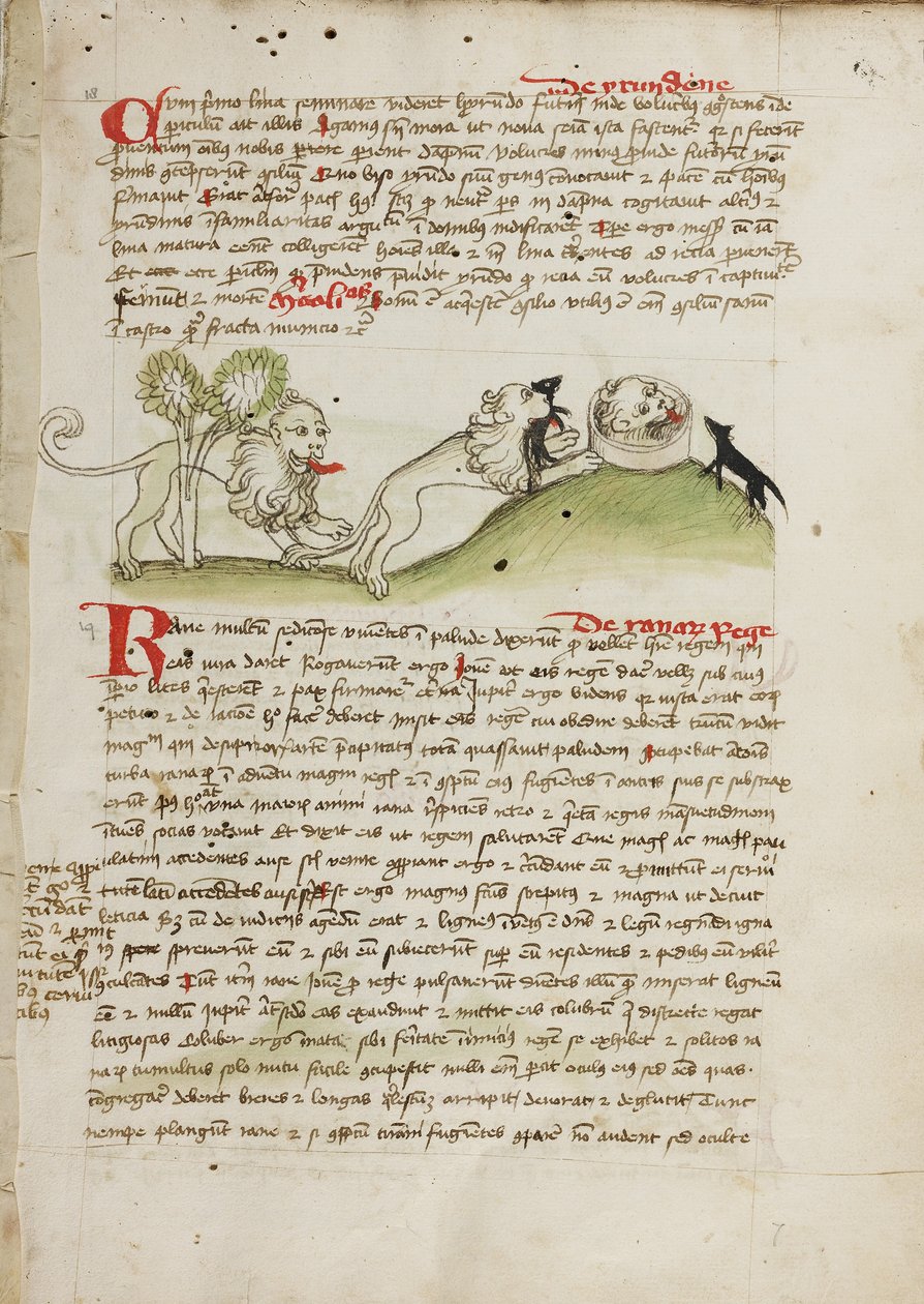 Ein Löwe und ein anderer Löwe mit einer Maus von Unknown artist