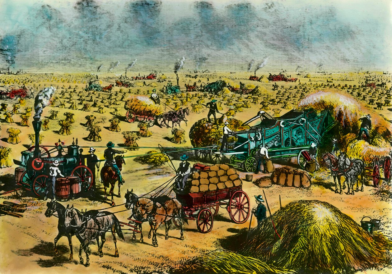 Landwirtschaftliche Revolution: Weizenernte in Dakota von Unknown artist